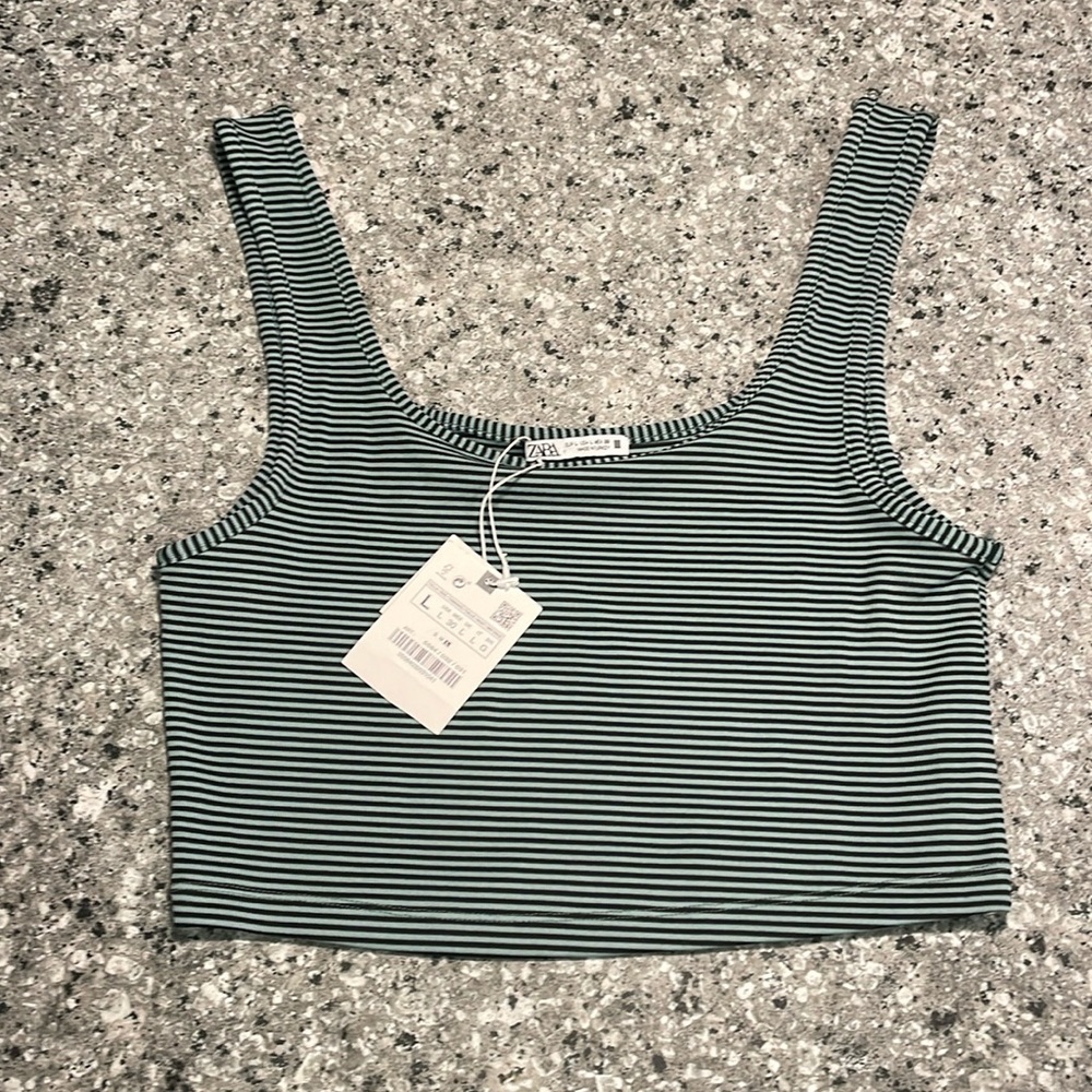 Zara Large Crop Top